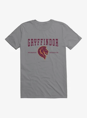 Harry Potter Gryffindor Quidditch Symbol T-Shirt