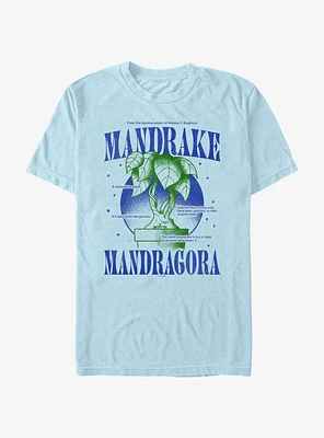 Harry Potter Mandrake Mandragora Garment Dye T-Shirt