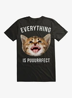 Everything Is Puuurrfect Cat T-Shirt