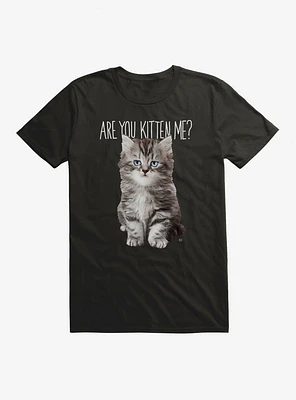 Are You Kitten Me T-Shirt