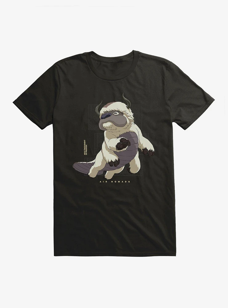 Avatar: The Last Airbender Air Nomads Appa T-Shirt