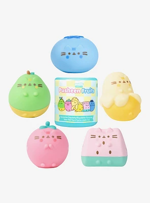 Pusheen Fruits Blind Box Squishy Toy