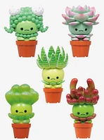 Succulent Friends Blind Box Figure