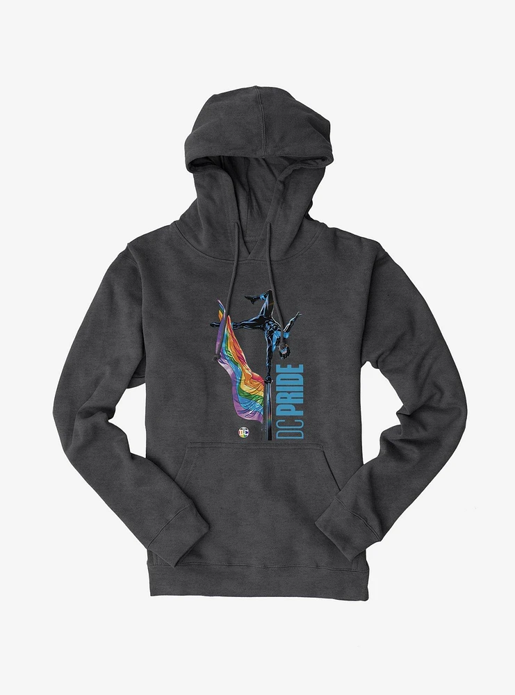 Batman Nightwing Pride Hoodie