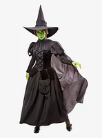 The Wizard of Oz Deluxe Wicked Witch Adult Costume