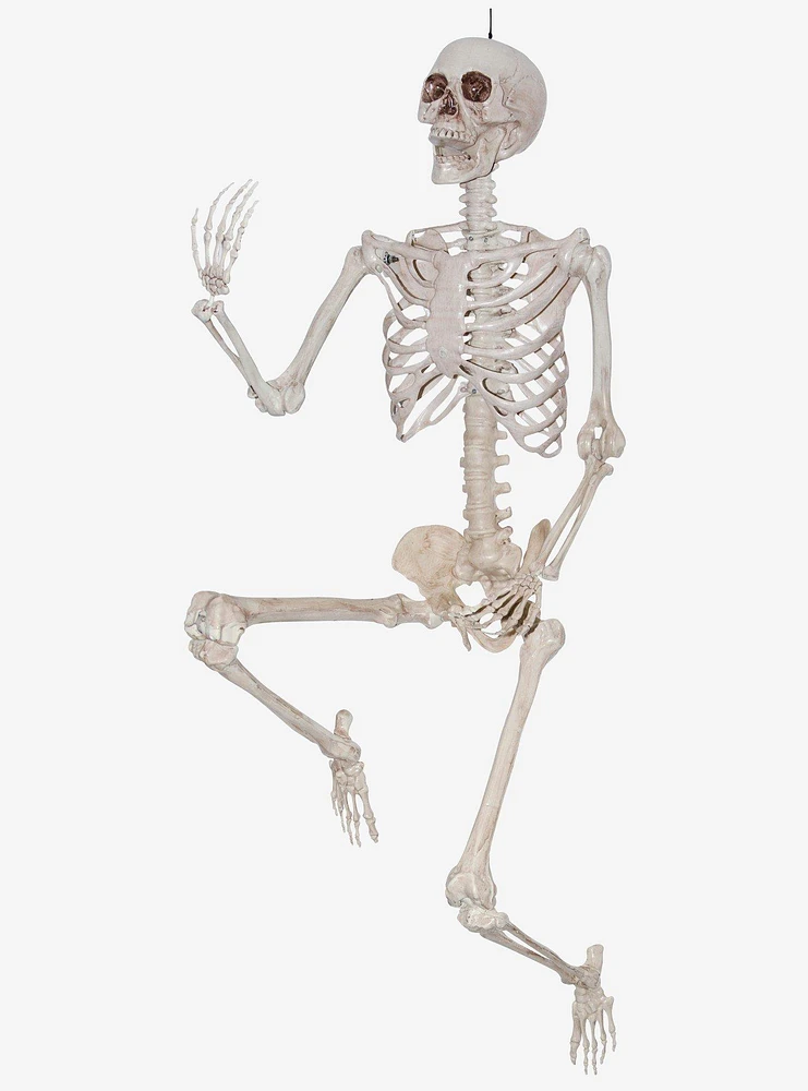 Skeleton Posable Hanging Decor