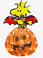 Peanuts Woodstock Halloween Yard Decor