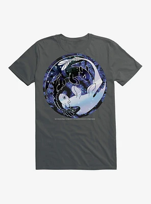 How To Train Your Dragon Night & Light Stars T-Shirt