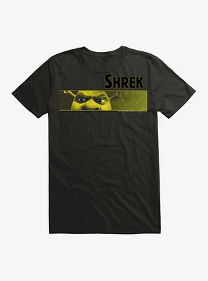 Shrek Rectangle Frame T-Shirt