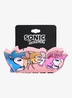 Sonic The Hedgehog Trio Claw Hair Clip