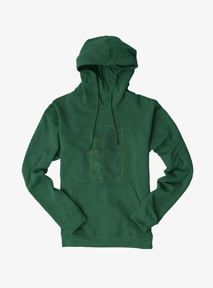 Harry Potter Dragon Flight Hoodie