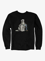 The Legend of Korra and Naga Sweatshirt