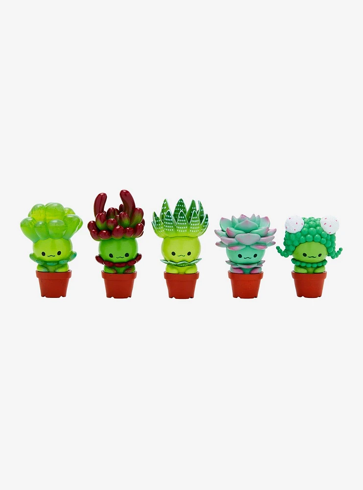 Succulent Friends Blind Box Succulent Figure