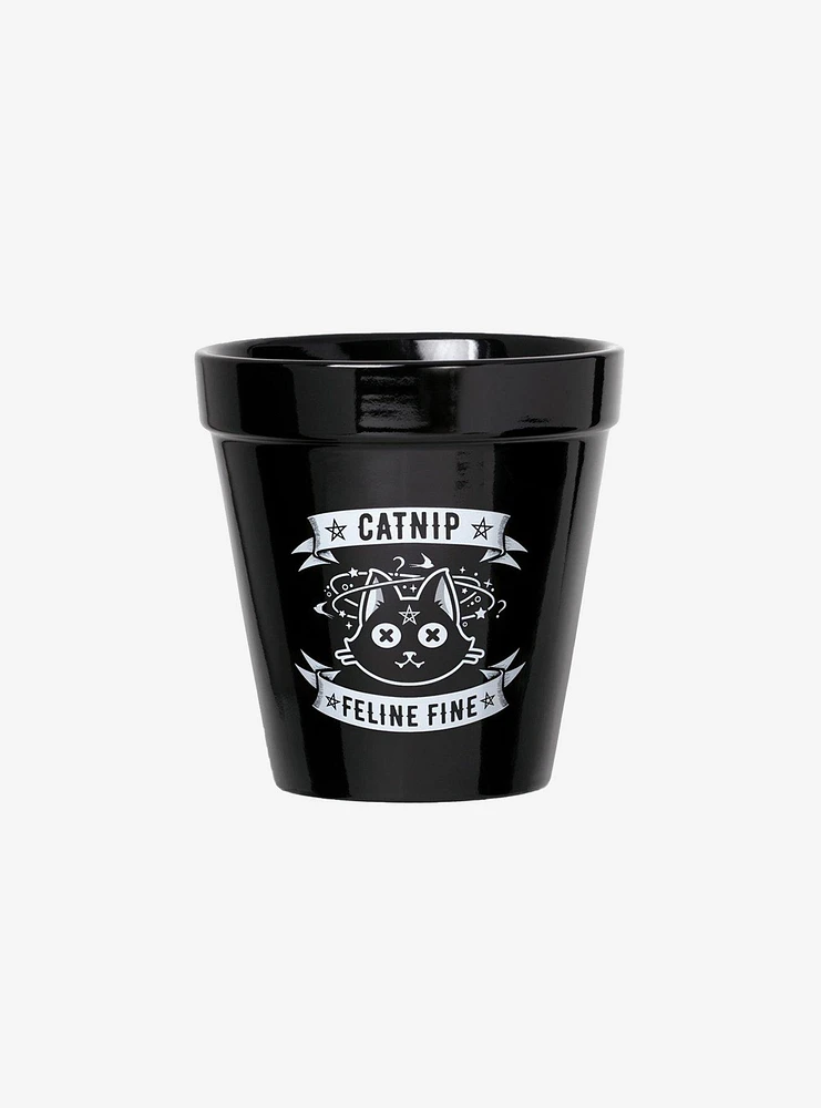 Alchemy of England Catnip Plant Pot