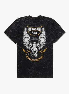 Harry Potter Hippogriff Wings Of Lightning Mineral Wash T-Shirt