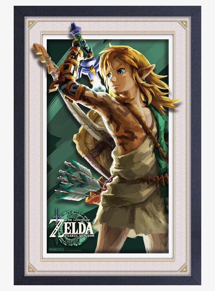 The Legend of Zelda: Tears of the Kingdom Primal Link Plexi Framed Poster