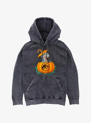 Jurassic Park Raptor Pumpkin Hatch Mineral Wash Hoodie