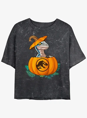 Jurassic Park Raptor Pumpkin Hatch Girls Mineral Wash Crop T-Shirt