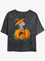 Jurassic Park Raptor Pumpkin Hatch Girls Mineral Wash Crop T-Shirt