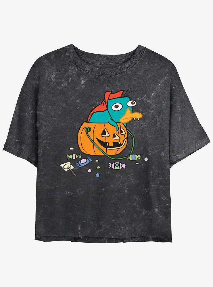 Disney Phineas and Ferb Fang Perry Girls Mineral Wash Crop T-Shirt