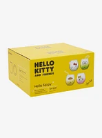 Hello Kitty And Friend Faces Glass Cup Set