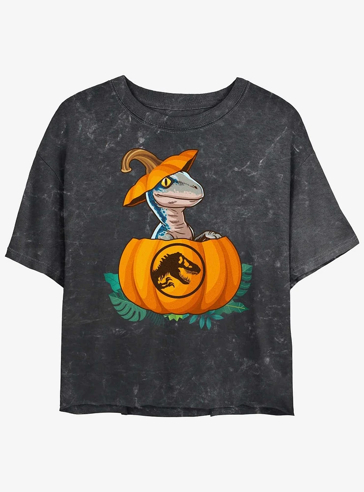 Jurassic Park Raptor Pumpkin Hatch Womens Mineral Wash Crop T-Shirt