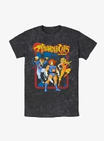 ThunderCats Retro Framed Mineral Wash T-Shirt