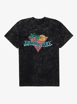 Jurassic Park Summer 1993 Mineral Wash T-Shirt