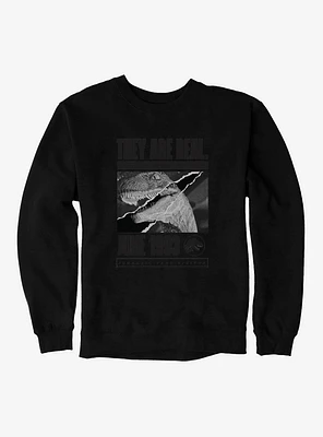 Jurassic Park They Are Real Sweatshirt