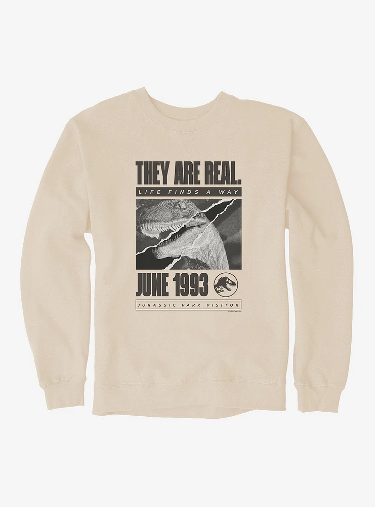 Jurassic Park They Are Real Sweatshirt