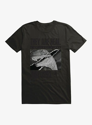 Jurassic Park They Are Real T-Shirt