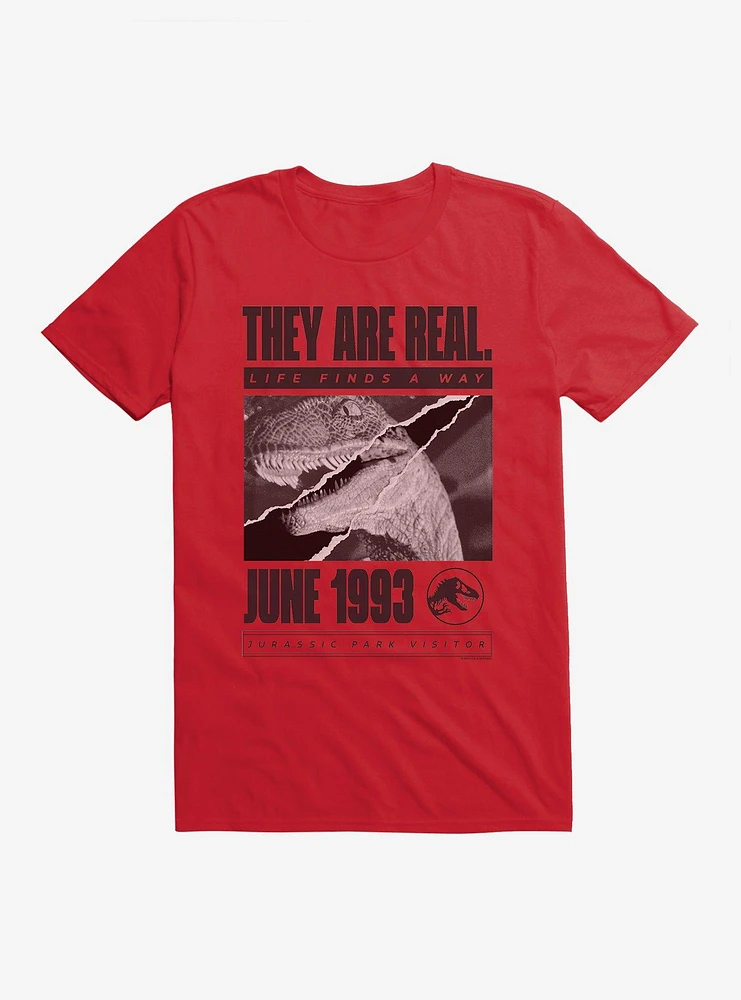 Jurassic Park They Are Real T-Shirt