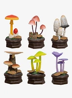 Qualia Mushroom Garden Vol. 2 Blind Box Figure