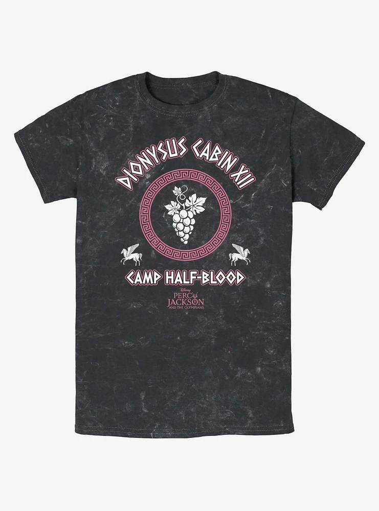 Disney Percy Jackson And The Olympians Dionysus Cabin Mineral Wash T-Shirt