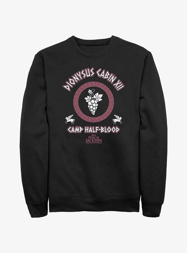 Disney Percy Jackson And The Olympians Dionysus Cabin Sweatshirt