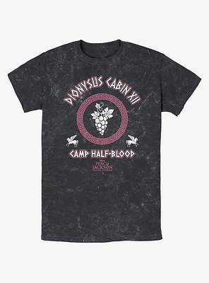 Disney Percy Jackson And The Olympians Dionysus Cabin Mineral Wash T-Shirt