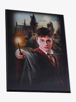 Harry Potter Voldemort Lenticular Wall Art