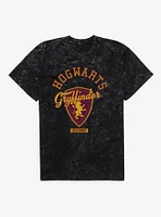 Harry Potter Hogwarts Gryffindor Alumni Mineral Wash T-Shirt