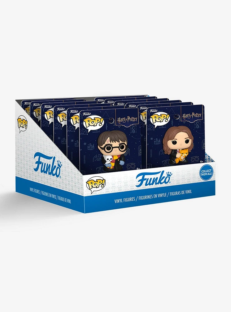 Funko Pop! Harry Potter Character Blind Assorted Vinyl Figure Pin