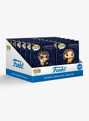 Funko Pop! Harry Potter Character Blind Assorted Vinyl Figure Pin