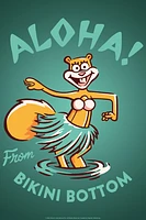 Spongebob Squarepants Aloha Sandy Poster