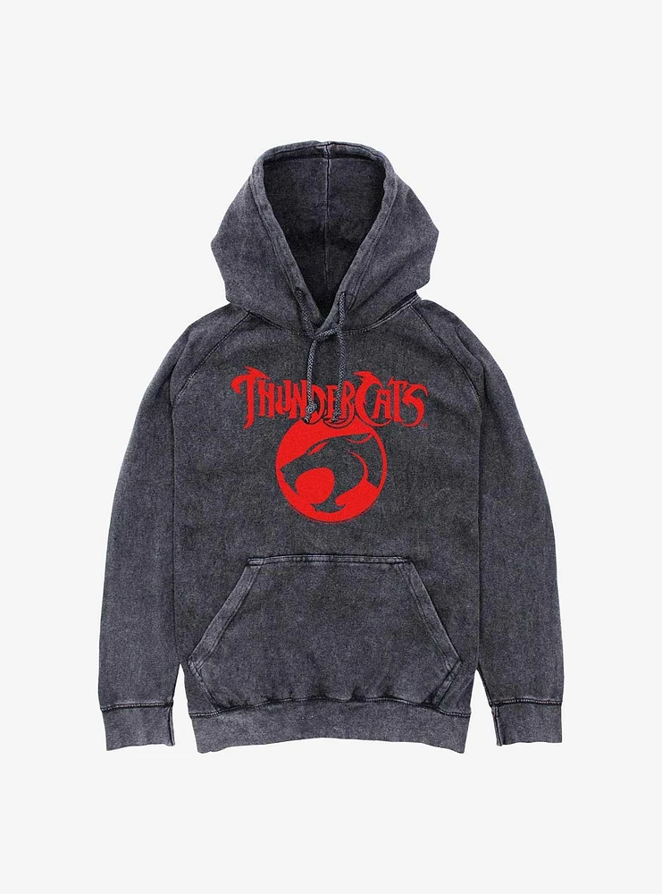 ThunderCats Logo Rearranged Mineral Wash Hoodie