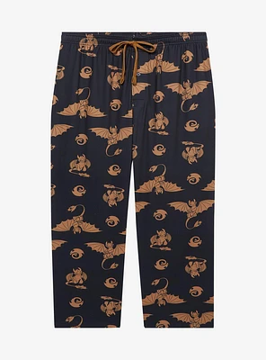 DreamWorks How To Train Your Dragon Toothless Poses Allover Print Plus Sleep Pants - BoxLunch Exclusive