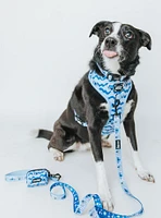 Sassy Woof Disney Lilo & Stitch Medium Dog Harness — BoxLunch Exclusive