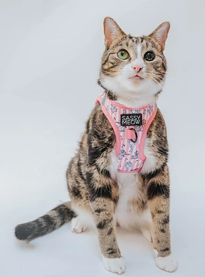 Sassy Woof Disney The Aristocats Kittens Small Cat Harness — BoxLunch Exclusive