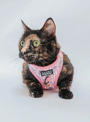 Sassy Woof Disney The Aristocats Kittens Medium Cat Harness — BoxLunch Exclusive