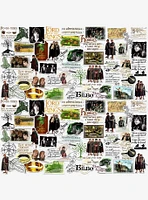 Lord of the Rings Hobbit Lifestyle 100ct Vinyl Stickers Variety Pack