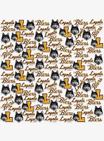 Loyola University Chicago 100Ct Sticker Pack