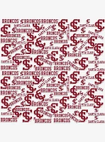 Santa Clara University Broncos 100Ct Sticker Pack