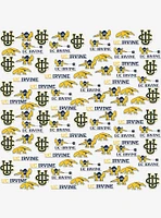 UC Irvine 100ct Sticker Pack